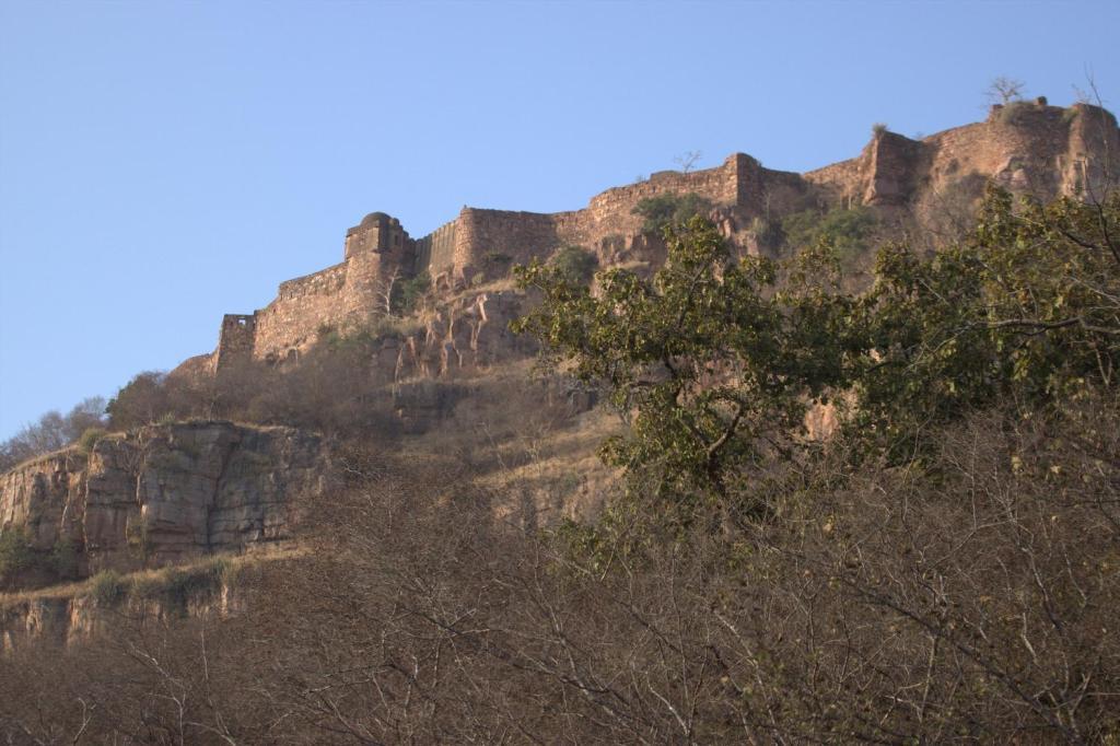 Green View Bed & Breakfast Sawai Madhopur Exterior photo